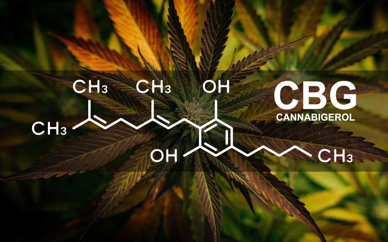 Image of cannabis plant featuring an illustration of the CBG molecule.