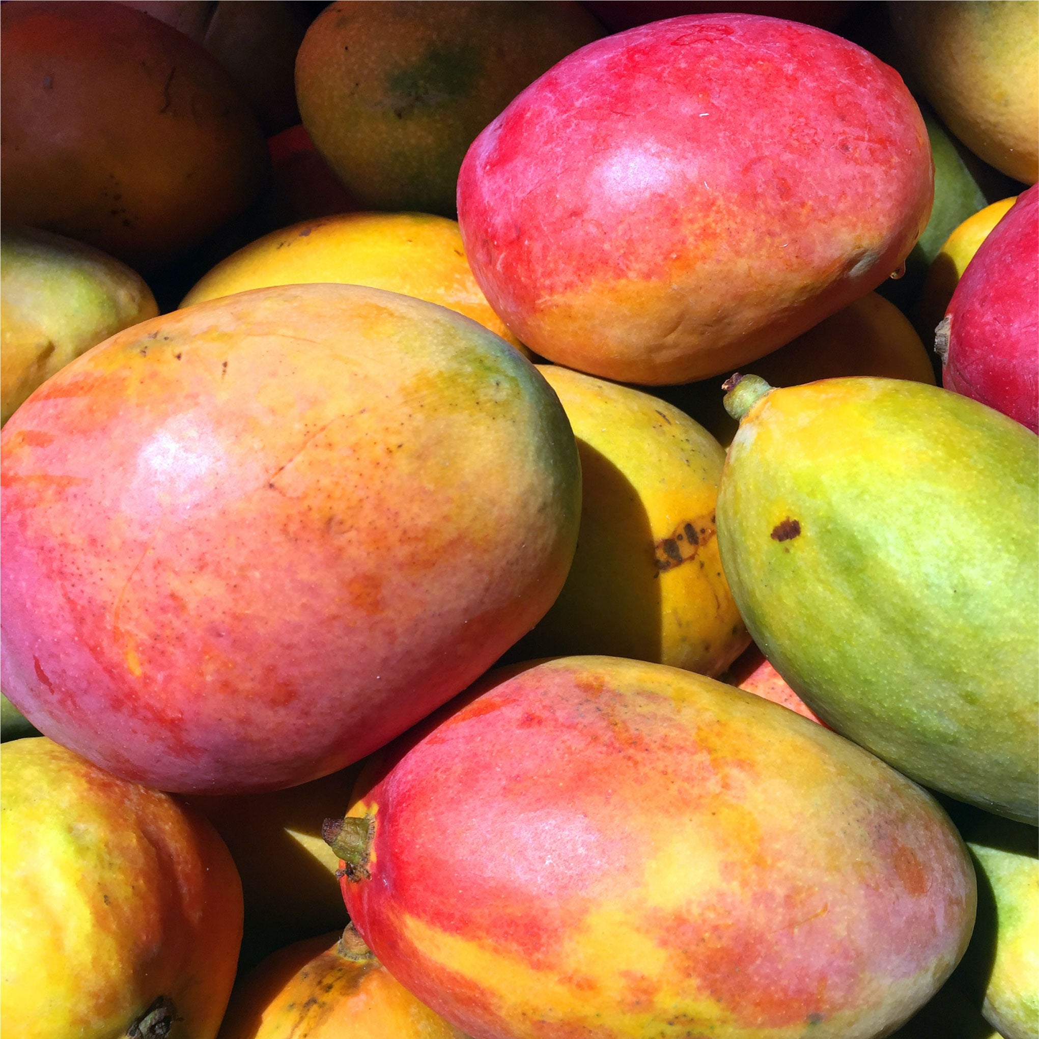 Mangoes