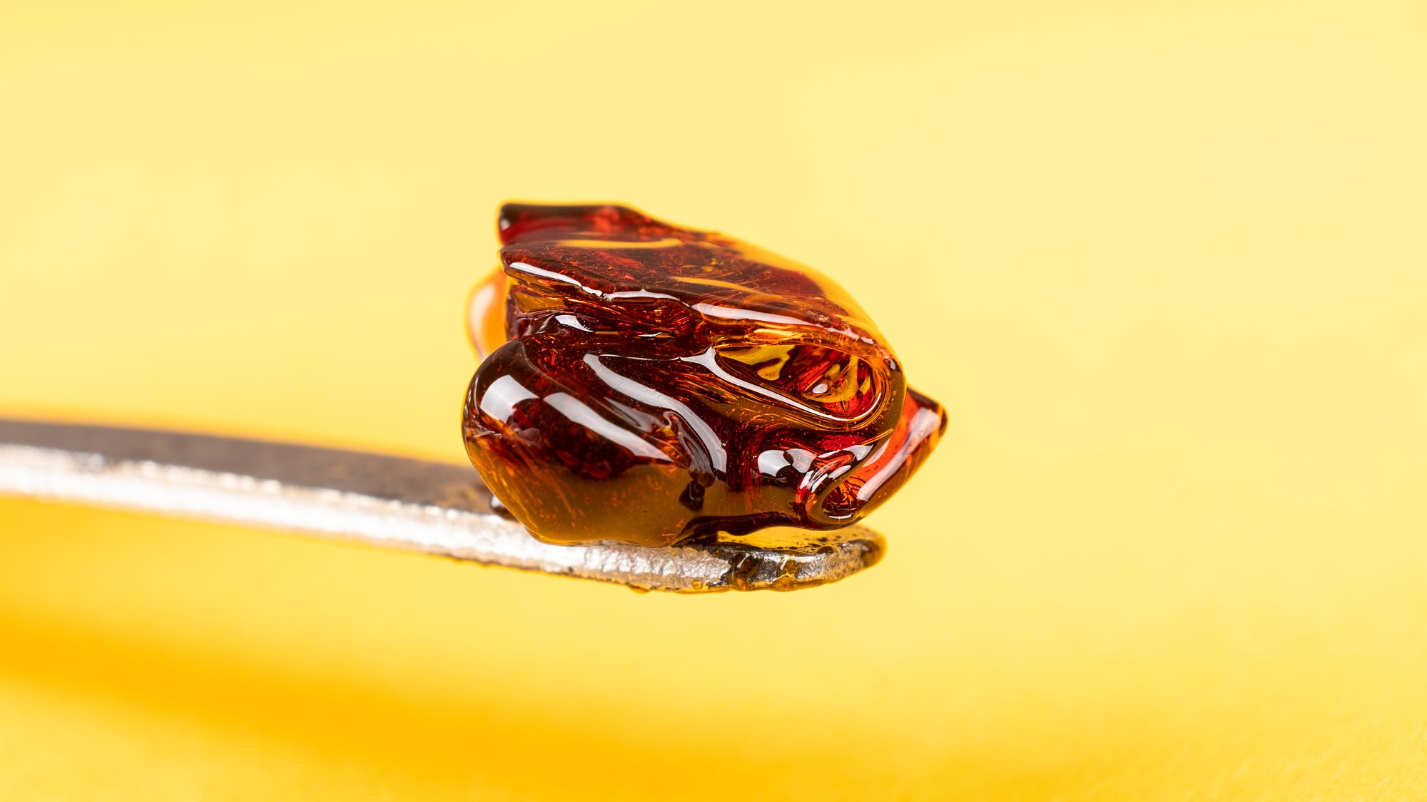 CBD concentrate on a dab tool