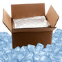 Cold Pack Shipping