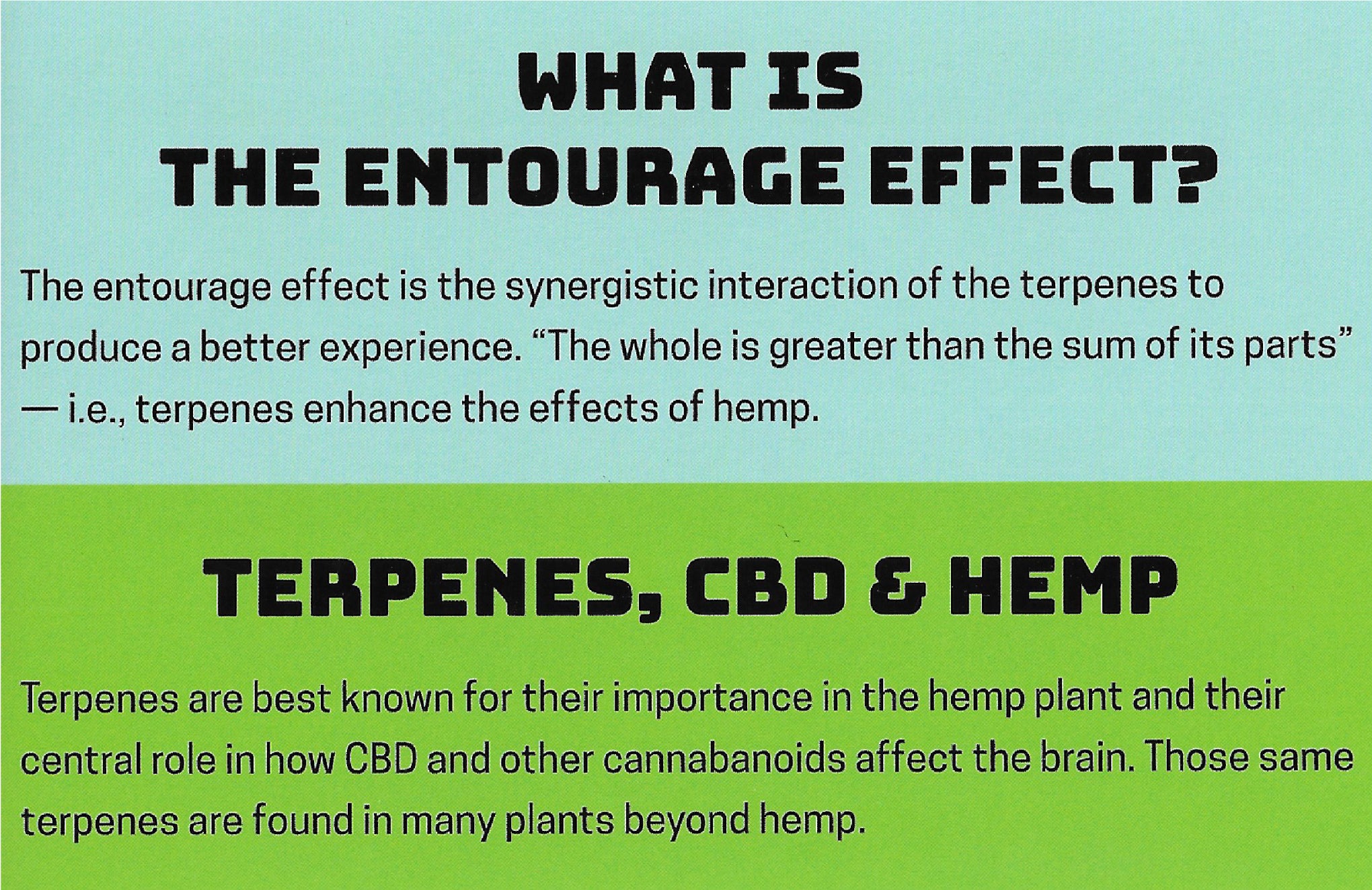 Information about the Entourage Effect, Terpenes, CBD, &amp; Hemp. 